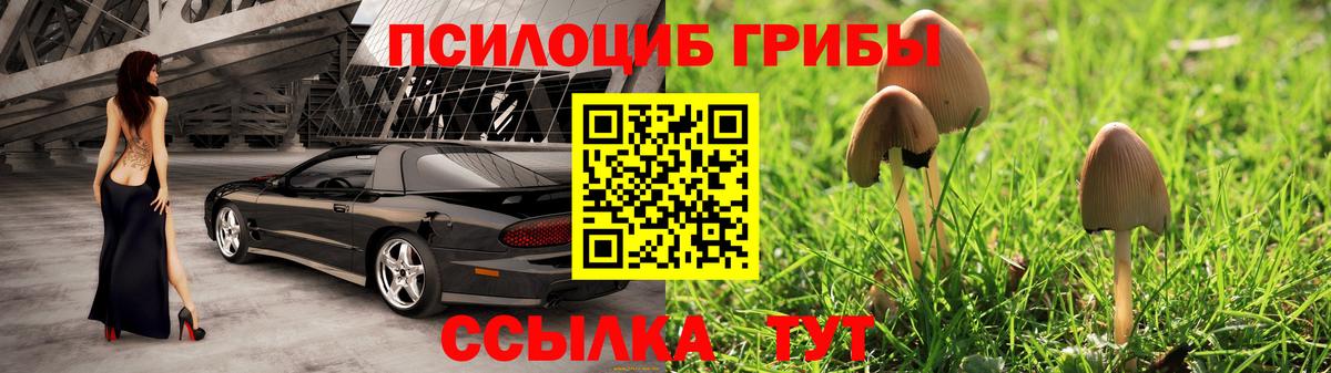 наркота  Вход с VPN  Магадан  Галлюциногенные грибы Psilocybine cubensis 